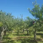Quinta Do Serrado De Holiday home *