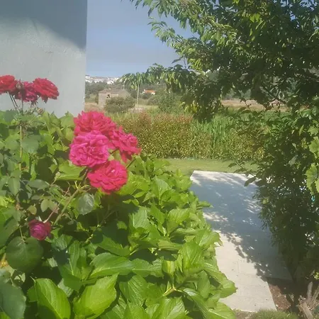 Quinta Do Serrado De Tatil Evi