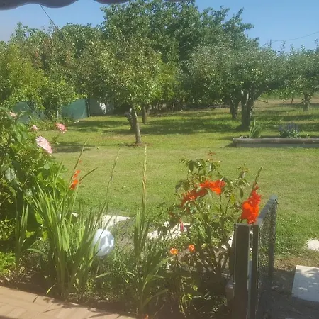 Quinta Do Serrado De Belmonte (Castelo Branco)