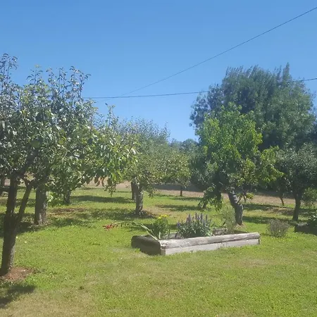 Quinta Do Serrado De 度假居 *