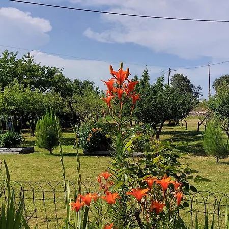 Quinta Do Serrado De Belmonte (Castelo Branco)