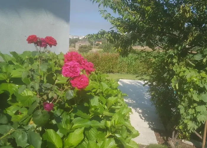 Quinta Do Serrado De Dom wakacyjny