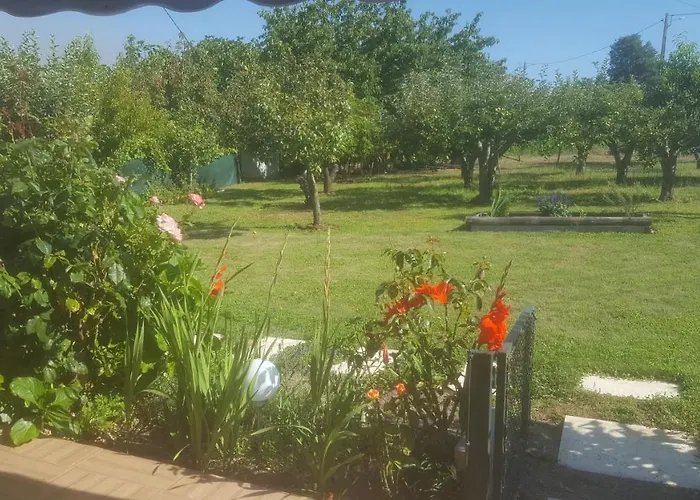 Quinta Do Serrado De Belmonte (Castelo Branco)