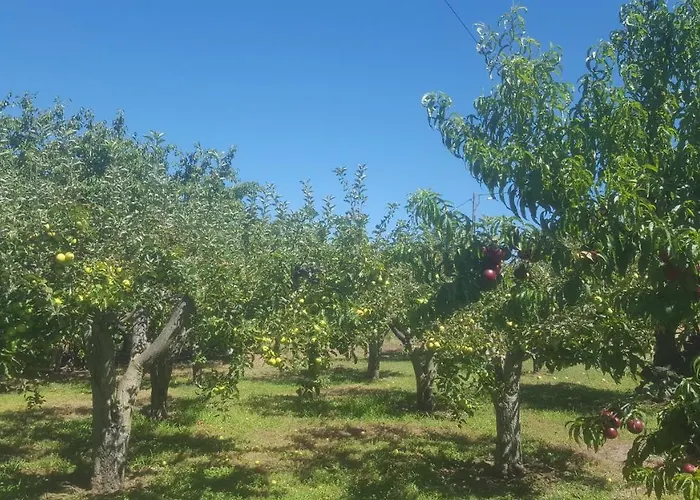 Quinta Do Serrado De Tatil Evi *
