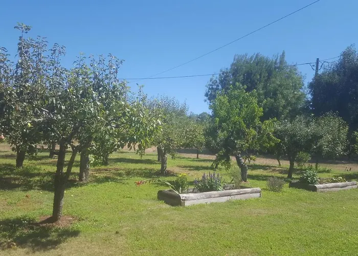Quinta Do Serrado De Tatil Evi *