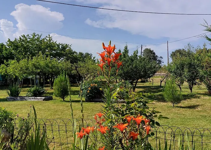 Quinta Do Serrado De Belmonte (Castelo Branco)